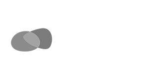 Provident-logo-white
